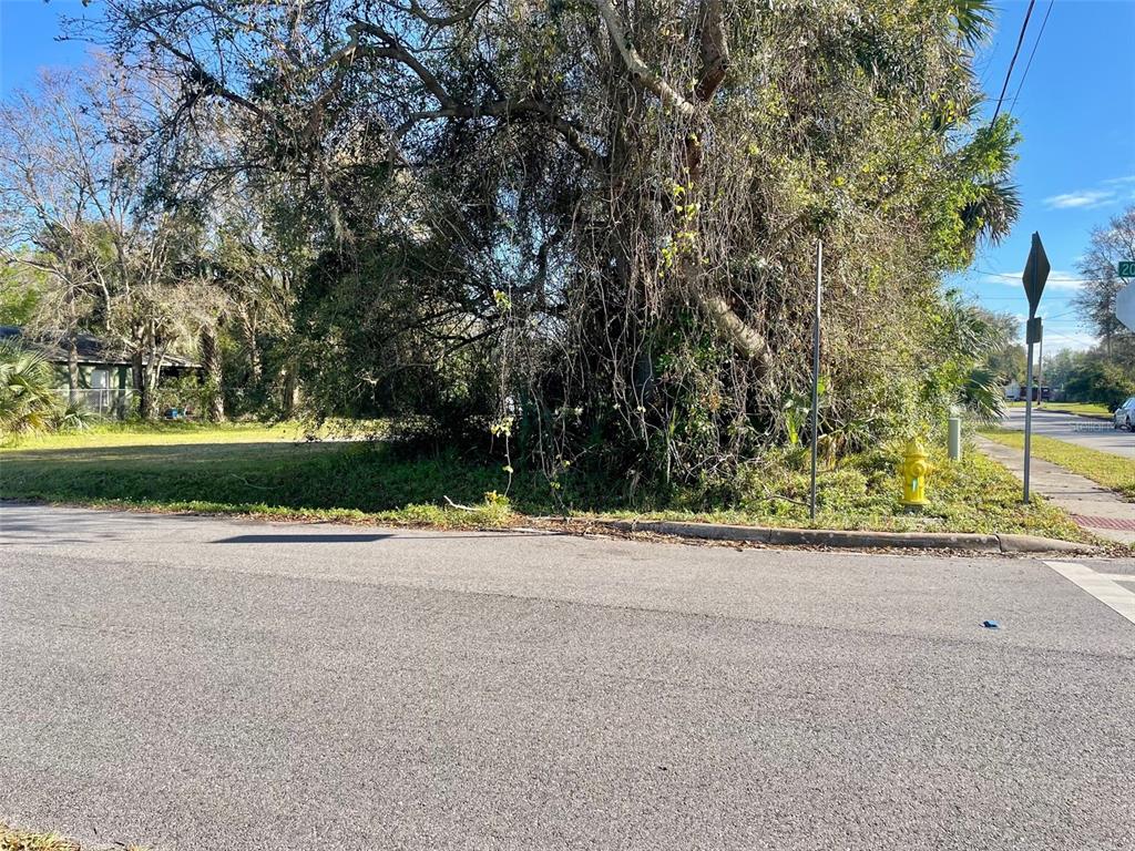 A vacant, tree-covered corner lot features a yellow fire hydrant near the sidewalk — E 20TH STREET, SANFORD, FL