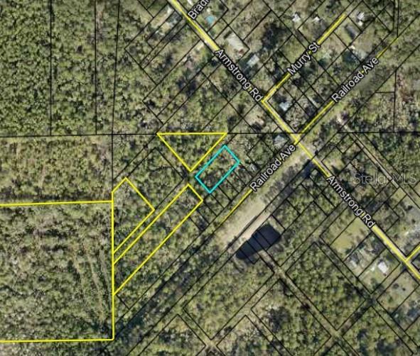 LOTS 1, 2, 3 AND 4 DAVIS AVE, ELKTON, FL — photo 2 of 3
