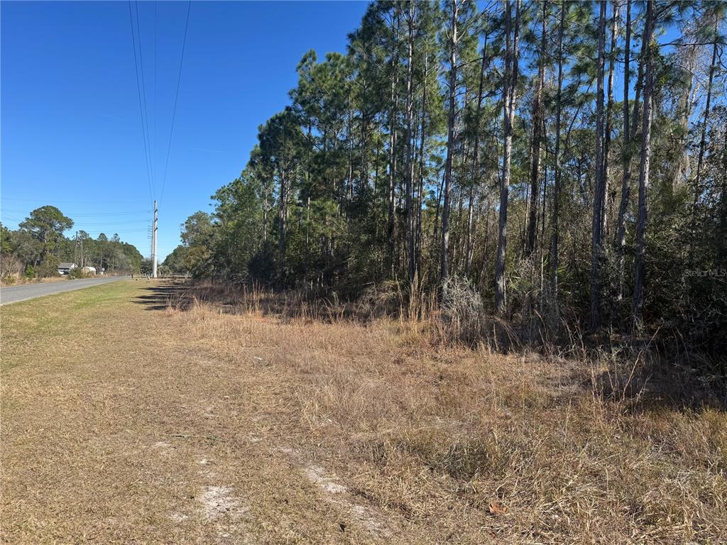 GRACE AVENUE, DELAND, FL — photo 2 of 4