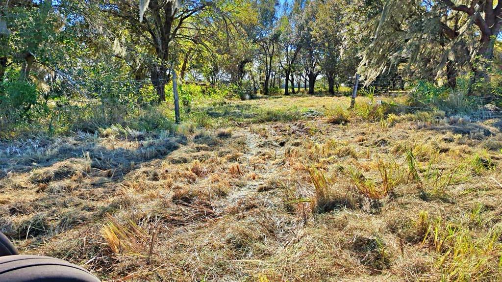 CONROY LANE, WAUCHULA, FL — photo 2 of 13