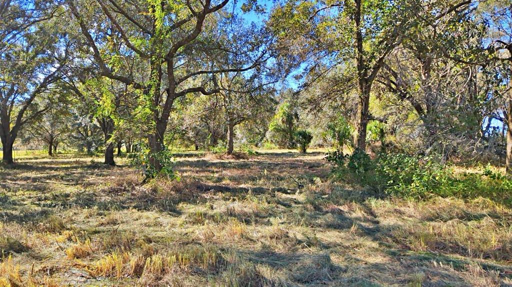 CONROY LANE, WAUCHULA, FL — photo 4 of 13