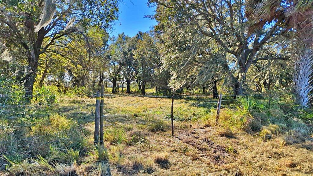 CONROY LANE, WAUCHULA, FL — photo 5 of 13