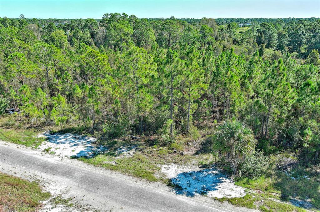 An aerial view of a paved road bordering a dense, wooded lot with pine trees — 839 KALEY AVENUE S, LEHIGH ACRES, FL