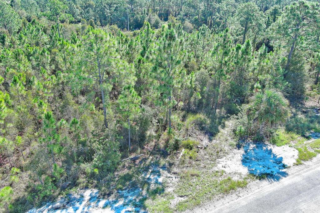 An aerial view of a wooded lot with pine trees bordering a paved road — 839 KALEY AVENUE S, LEHIGH ACRES, FL