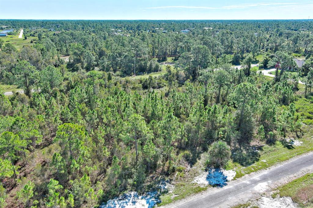 An aerial view shows a wooded lot bordered by a paved road and surrounding forest — 839 KALEY AVENUE S, LEHIGH ACRES, FL