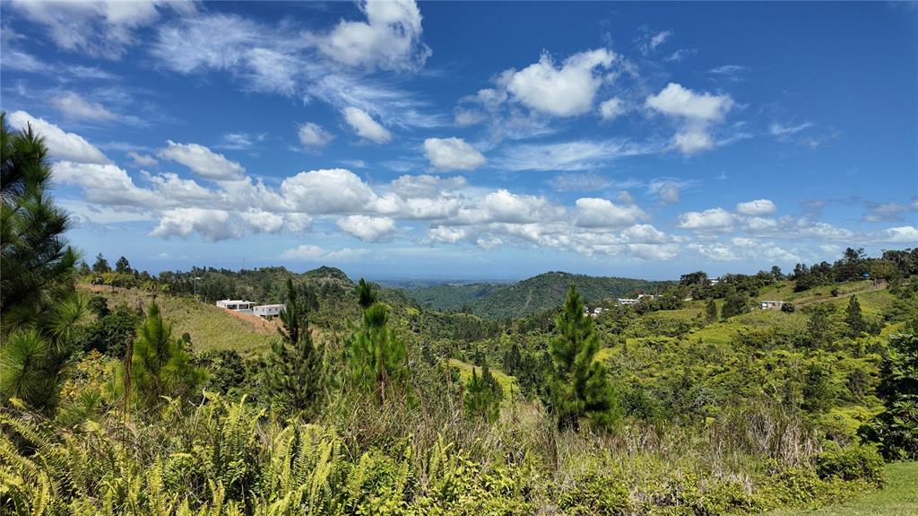 A scenic view of lush green hills and valleys under a bright, cloudy blue sky — Carr 155 KM 33.1 INT BO. GATO, OROCOVIS, PR