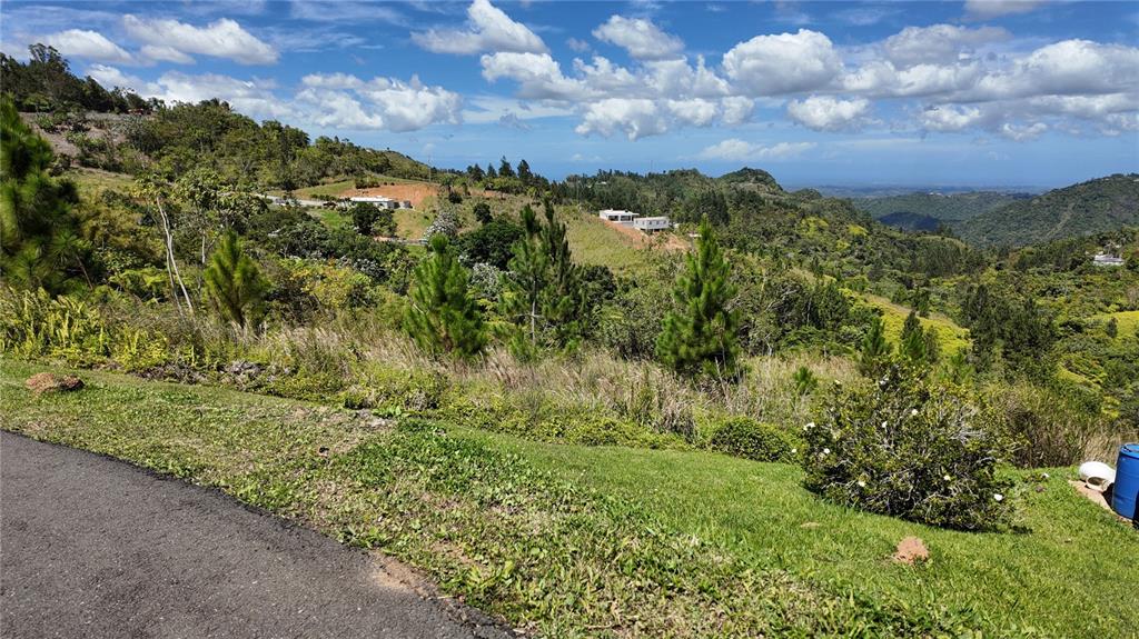 A paved road borders a grassy hillside with scattered trees and distant mountain views — Carr 155 KM 33.1 INT BO. GATO, OROCOVIS, PR