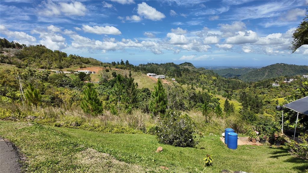 A grassy hillside overlooks a lush, mountainous landscape under a bright, cloudy blue sky — Carr 155 KM 33.1 INT BO. GATO, OROCOVIS, PR