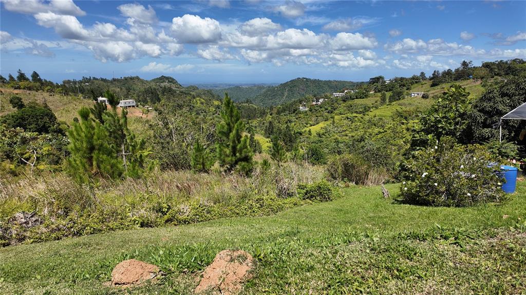 A grassy hillside overlooks a scenic valley with scattered houses and distant mountains — Carr 155 KM 33.1 INT BO. GATO, OROCOVIS, PR