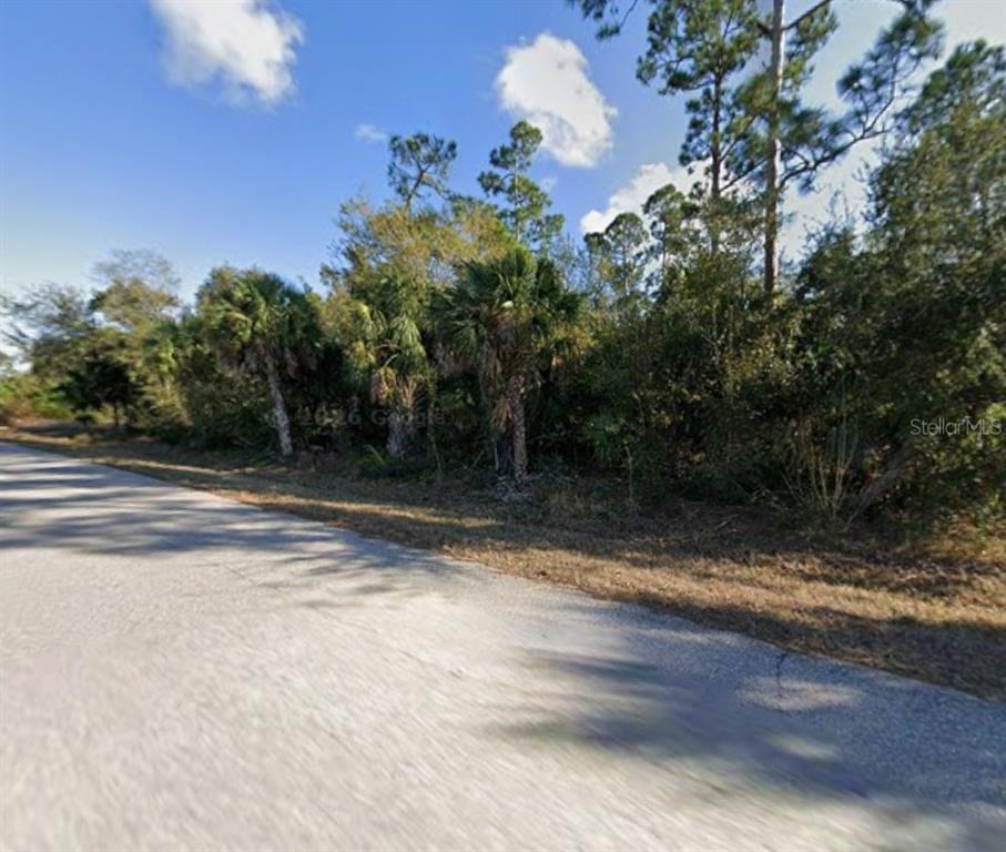 A paved road runs alongside a wooded lot featuring several palm trees and dense vegetation — 26469 BROOKS ROAD, PUNTA GORDA, FL