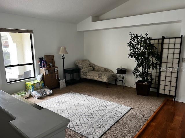 A living room features a chaise lounge, a patterned area rug, and a tall potted plant — 18330 CYPRESS VIEW WAY, TAMPA, FL