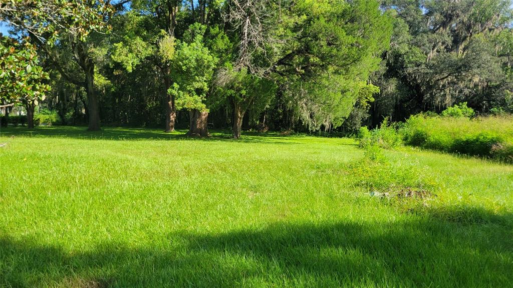 A grassy, open lot is bordered by a dense line of mature trees and shrubs — 1521 NW 27TH AVENUE, OCALA, FL