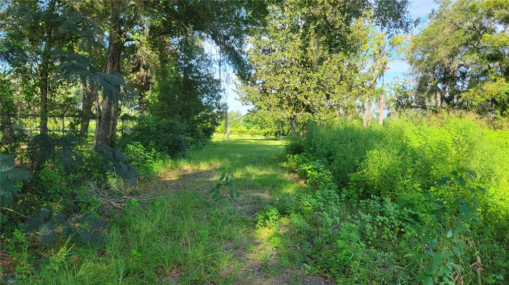 A grassy path leads through a wooded area with dense vegetation on both sides — 1521 NW 27TH AVENUE, OCALA, FL