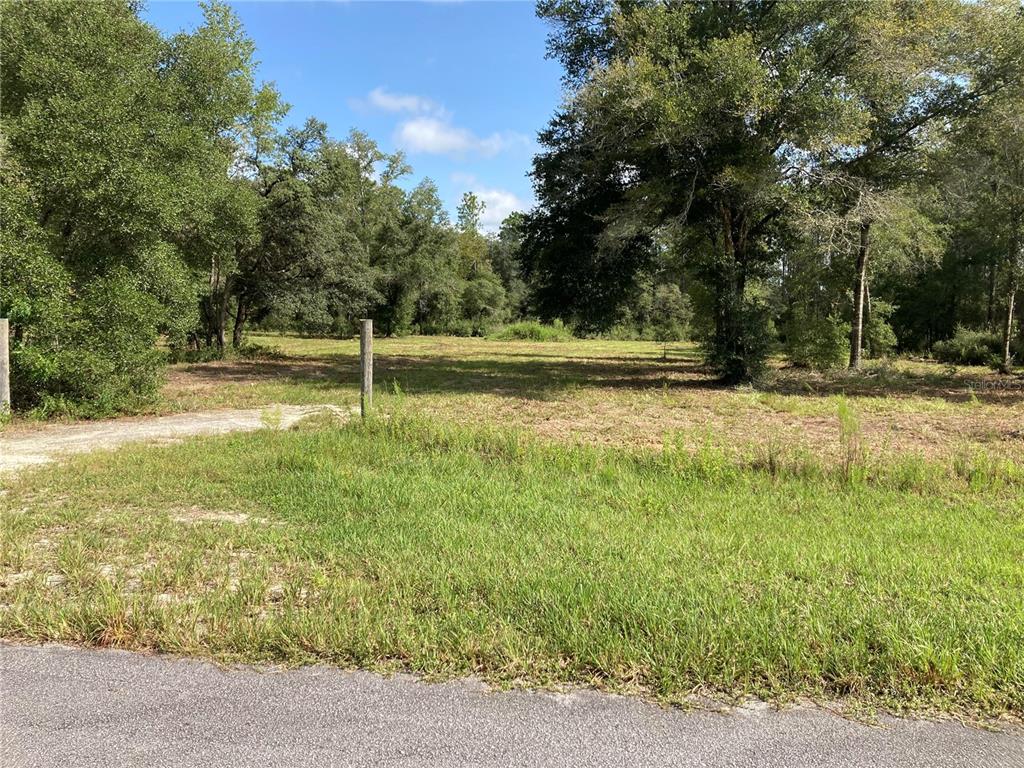 A grassy, partially cleared vacant lot features scattered trees and a single wooden fence post — TBD SW 54TH STREET, DUNNELLON, FL
