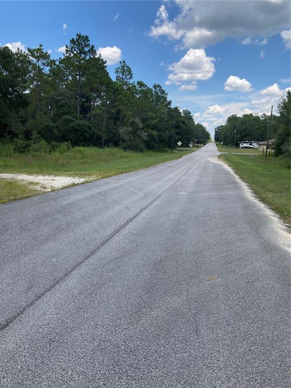 A paved road stretches through a rural area with trees and grassy shoulders — TBD SW 54TH STREET, DUNNELLON, FL