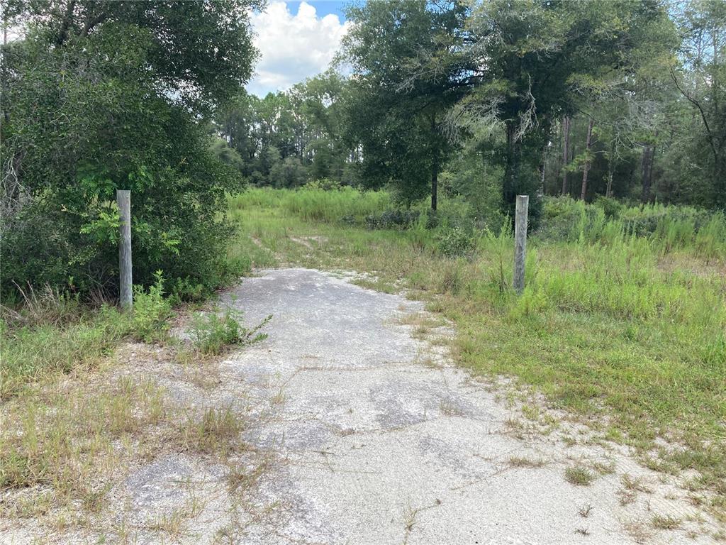 A paved driveway entrance leads into a grassy, wooded lot between two wooden posts — TBD SW 54TH STREET, DUNNELLON, FL