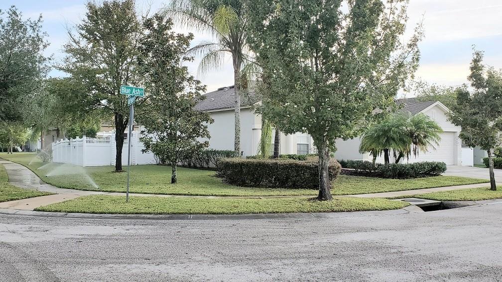 A single-story house with a white fence and lawn sits on a corner lot — 34421 BLUE ASH COURT, WESLEY CHAPEL, FL