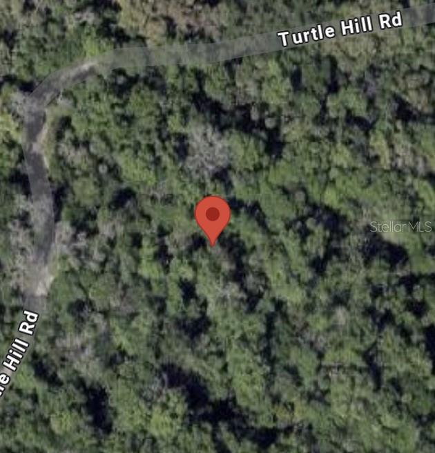 This is a satellite map view showing a red location pin in a wooded area — 1855 TURTLE HILL ROAD, DELTONA, FL