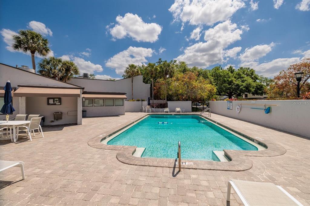 A rectangular swimming pool sits on a paved patio next to a building — 4207 FAIRWAY RUN, TAMPA, FL