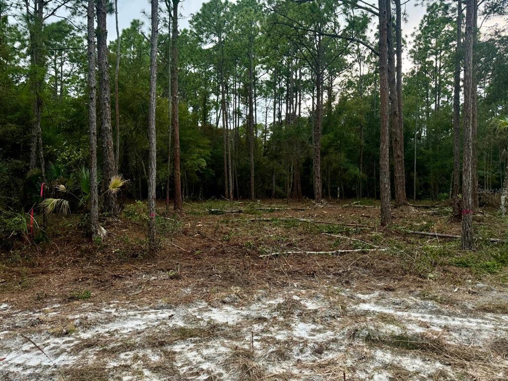 127 LONGTREE STREET, GEORGETOWN, FL — photo 3 of 11