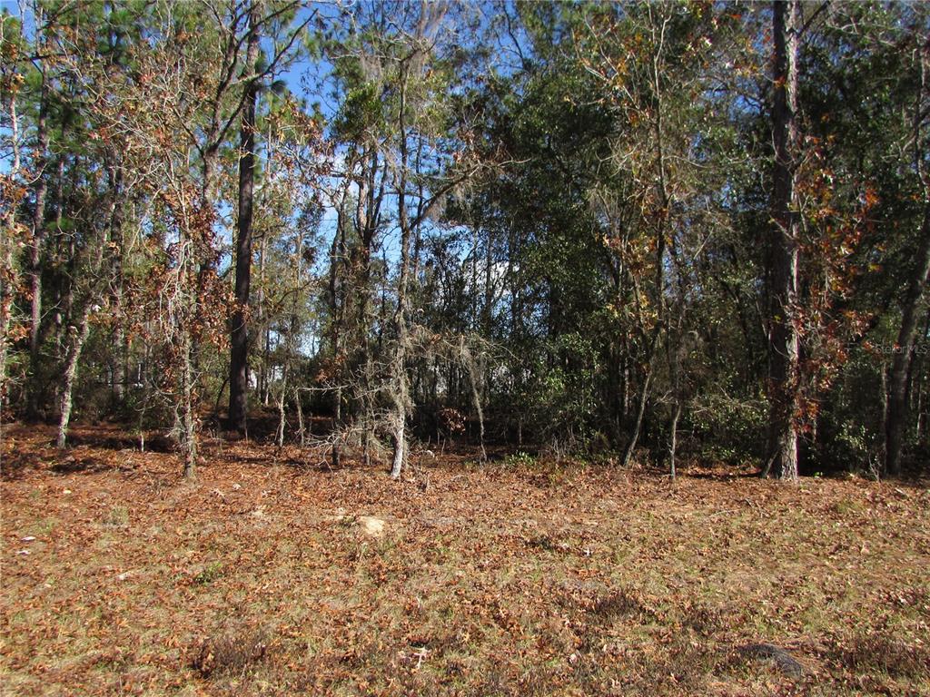Lot 18 SW 156 STREET