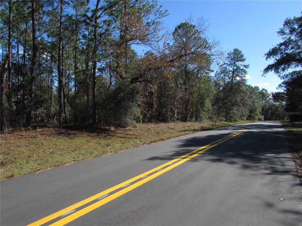 A paved road with double yellow lines runs alongside a wooded lot — Lot 18 SW 156 STREET, OCALA, FL