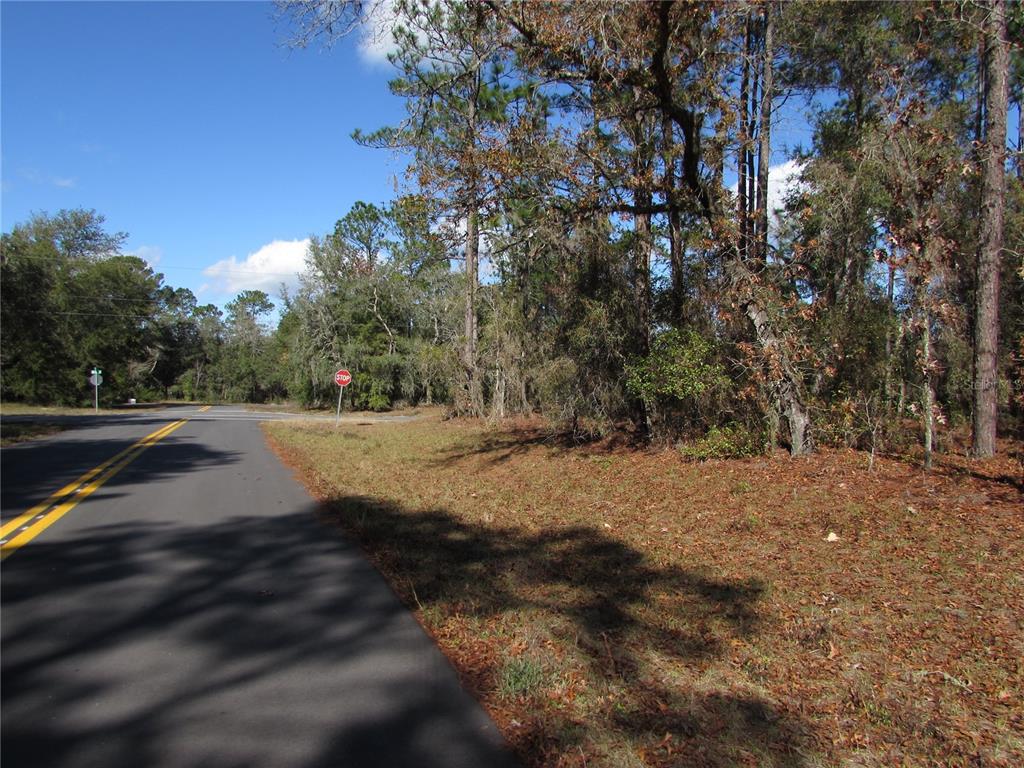 A paved road leads to a stop sign at an intersection next to a wooded lot — Lot 18 SW 156 STREET, OCALA, FL