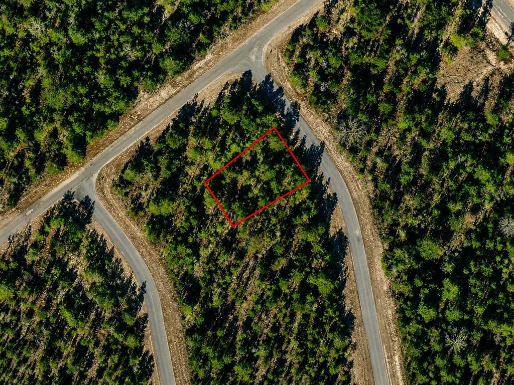 An aerial view shows a rectangular plot of land outlined in red within a forest — ALLADIN DRIVE, CHIPLEY, FL