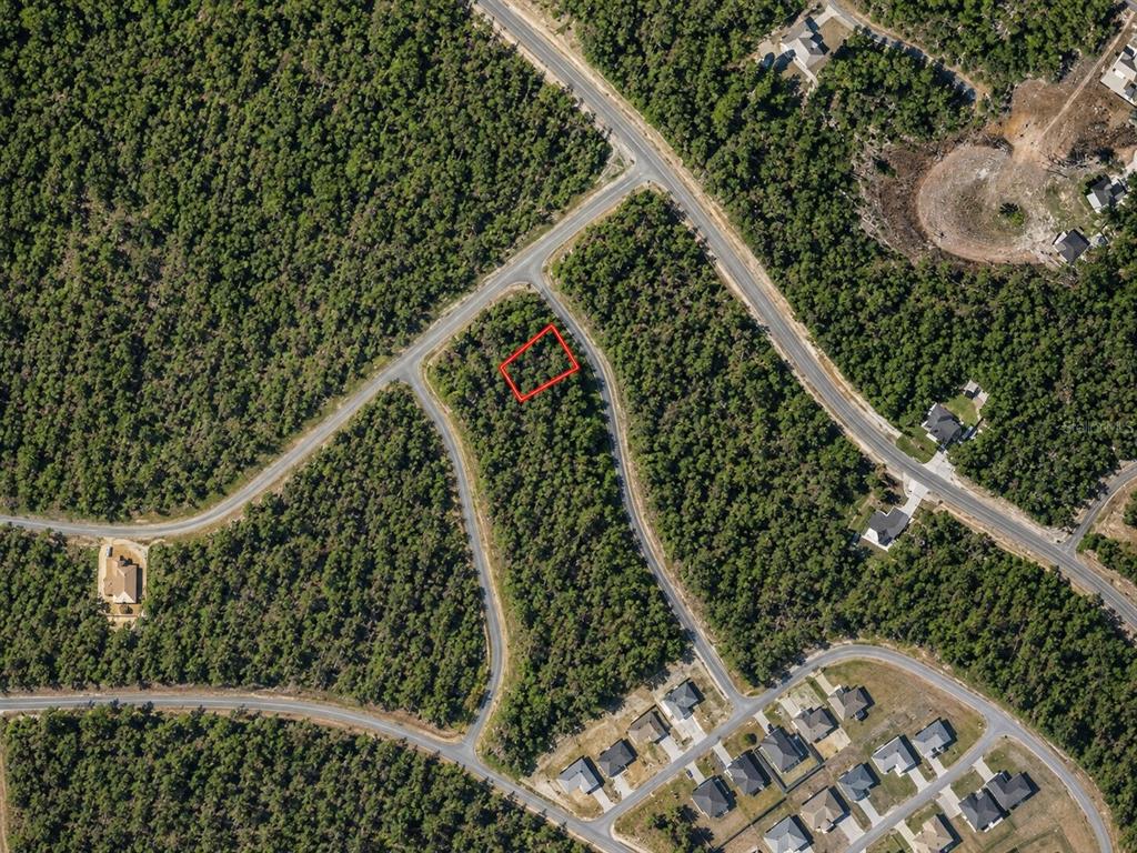 An aerial view shows a vacant, rectangular lot outlined in red within a wooded subdivision — ALLADIN DRIVE, CHIPLEY, FL