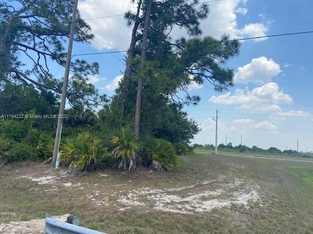 A grassy, sandy lot features several pine trees and palmetto bushes under a cloudy sky — 5029 SE TradeWinds Cir, La Belle FL 33935, LA BELLE, FL