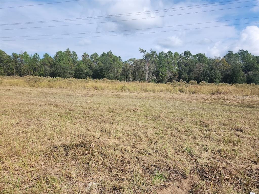 SE MARICAMP ROAD, OCALA, FL — photo 2 of 9