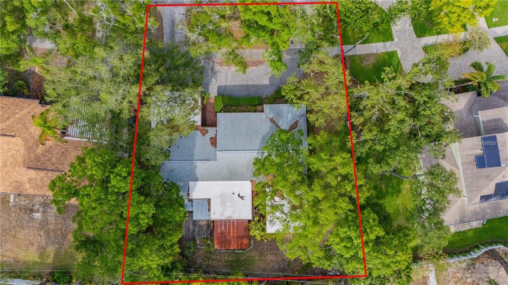An aerial view shows a house with a gray roof surrounded by mature trees — 504 W DAVIS BOULEVARD, TAMPA, FL
