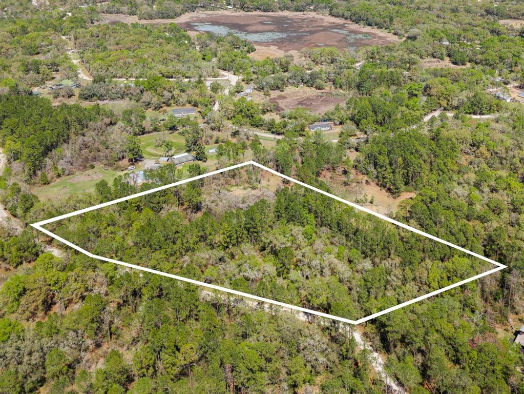 An aerial view shows a wooded, rectangular plot of land outlined in white — 0 SE 91ST TRAIL, TRENTON, FL