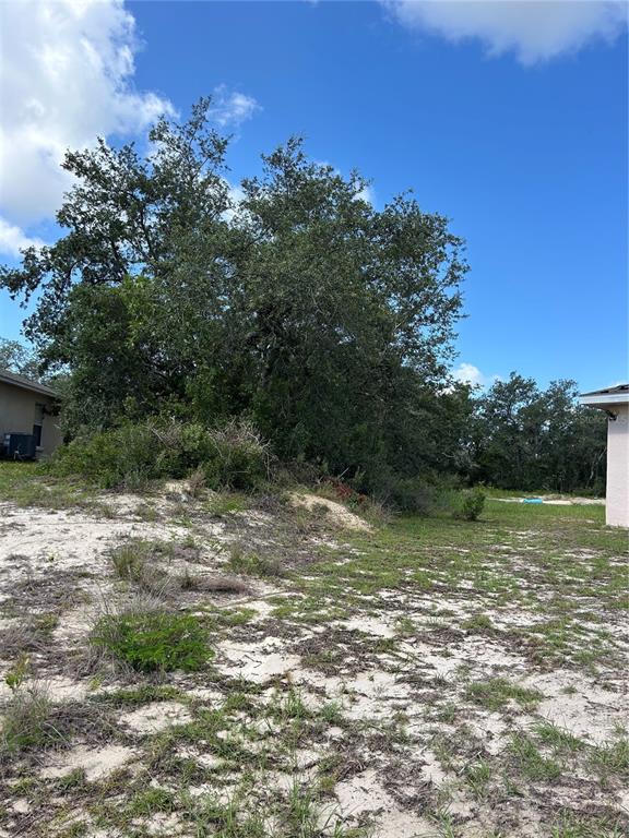 A sandy, grassy lot features a large cluster of trees between two residential buildings — 106 & 108 SAIL PLACE, KISSIMMEE, FL