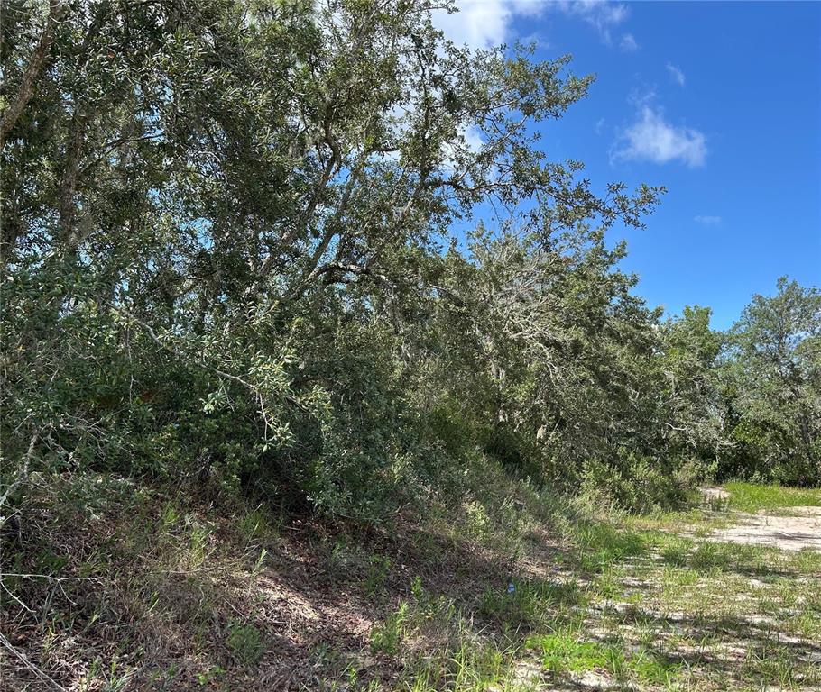 A wooded lot with a sandy path under a bright blue sky — 106 & 108 SAIL PLACE, KISSIMMEE, FL