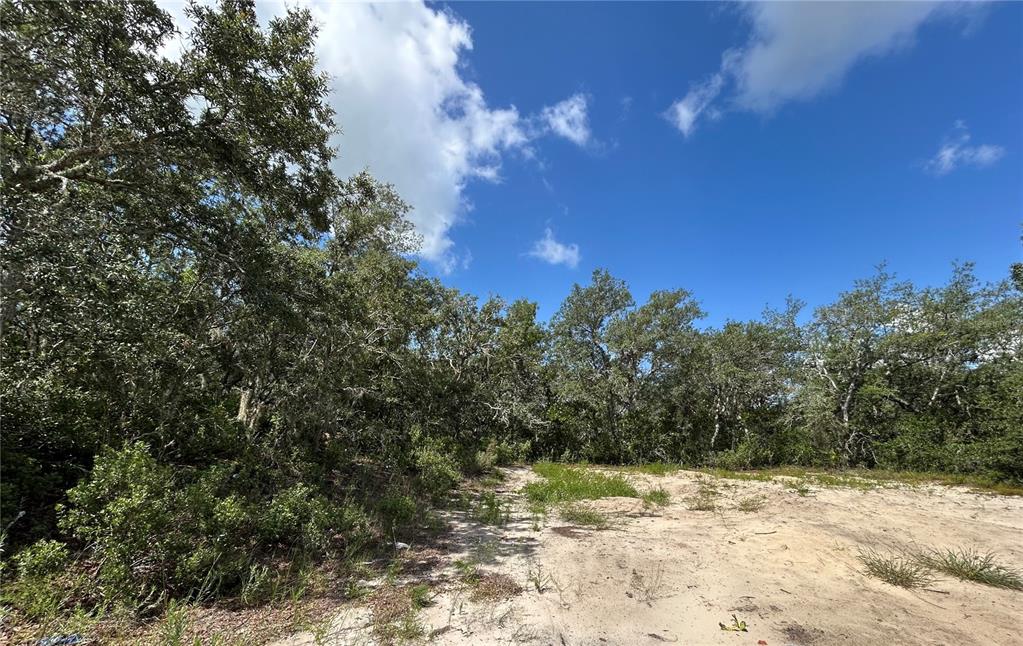 A sandy, cleared lot is bordered by a dense line of mature oak trees — 106 & 108 SAIL PLACE, KISSIMMEE, FL