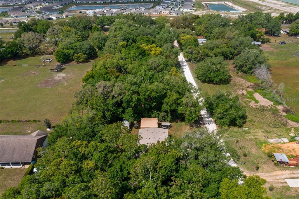 An aerial view shows a house nestled in a wooded lot beside a dirt road — 38616 COLEEN AVENUE, ZEPHYRHILLS, FL