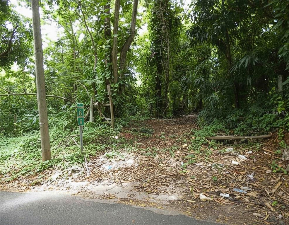 A dirt path leads into a wooded area next to a road and utility pole — SR 108 KM 8.1 RIO CAÑAS WD UNIT C-2, ANASCO, PR