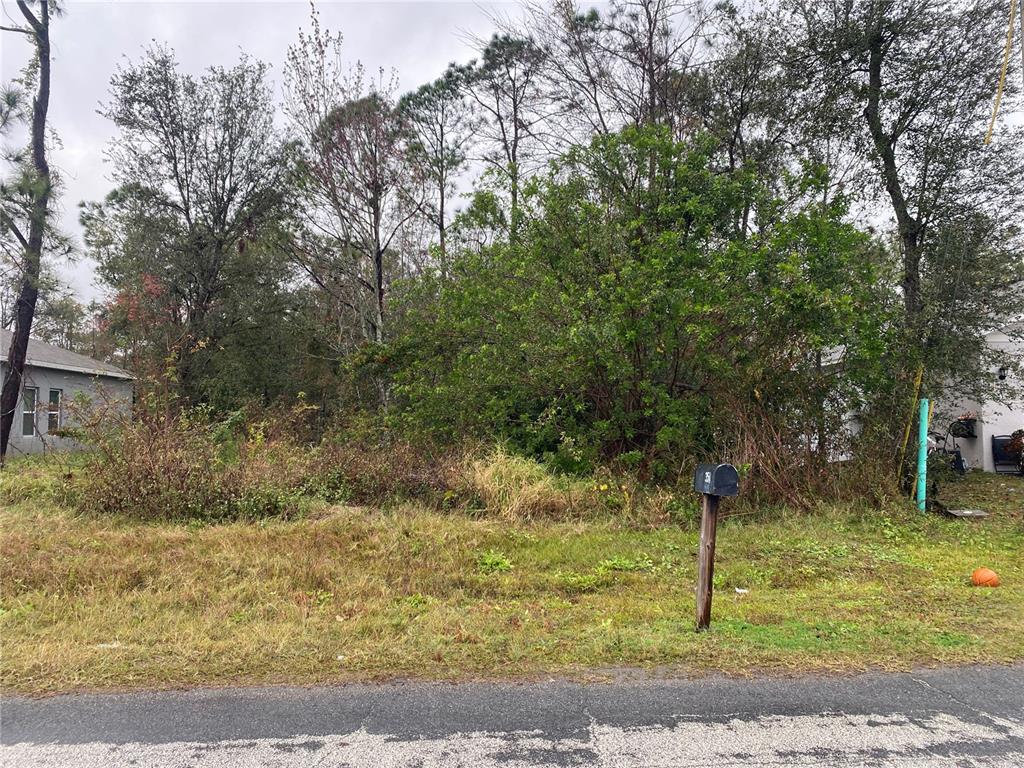 A vacant, overgrown residential lot sits between two houses along a paved road — CLERMONT DRIVE, KISSIMMEE, FL