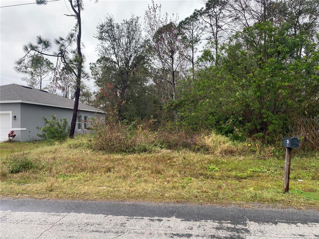 A vacant, overgrown lot sits next to a gray house with a mailbox in front — CLERMONT DRIVE, KISSIMMEE, FL
