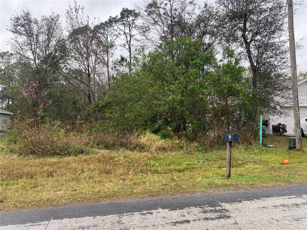 A vacant, overgrown residential lot sits between two houses along a paved road — CLERMONT DRIVE, KISSIMMEE, FL