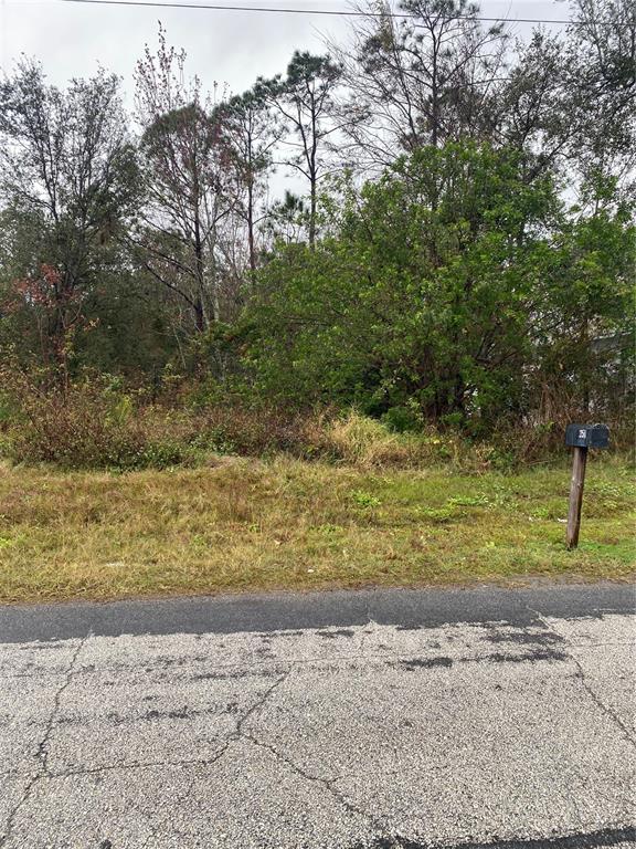 A vacant, wooded lot sits behind a paved road with a mailbox on the right — CLERMONT DRIVE, KISSIMMEE, FL
