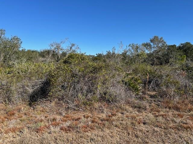 A view of a vacant, overgrown lot with dense brush and trees under a clear sky — 29438 IXORA ROAD, PUNTA GORDA, FL
