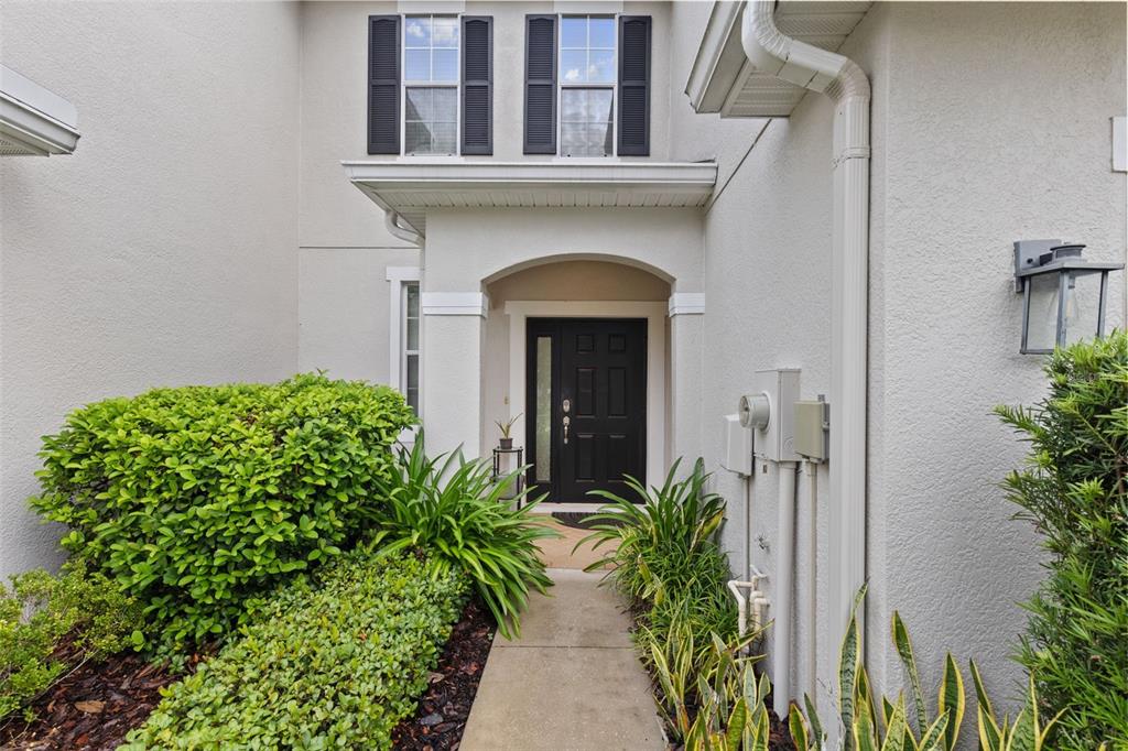 A concrete walkway leads to the black front door of a two-story stucco home — 20542 GRAND VISTA LANE, TAMPA, FL