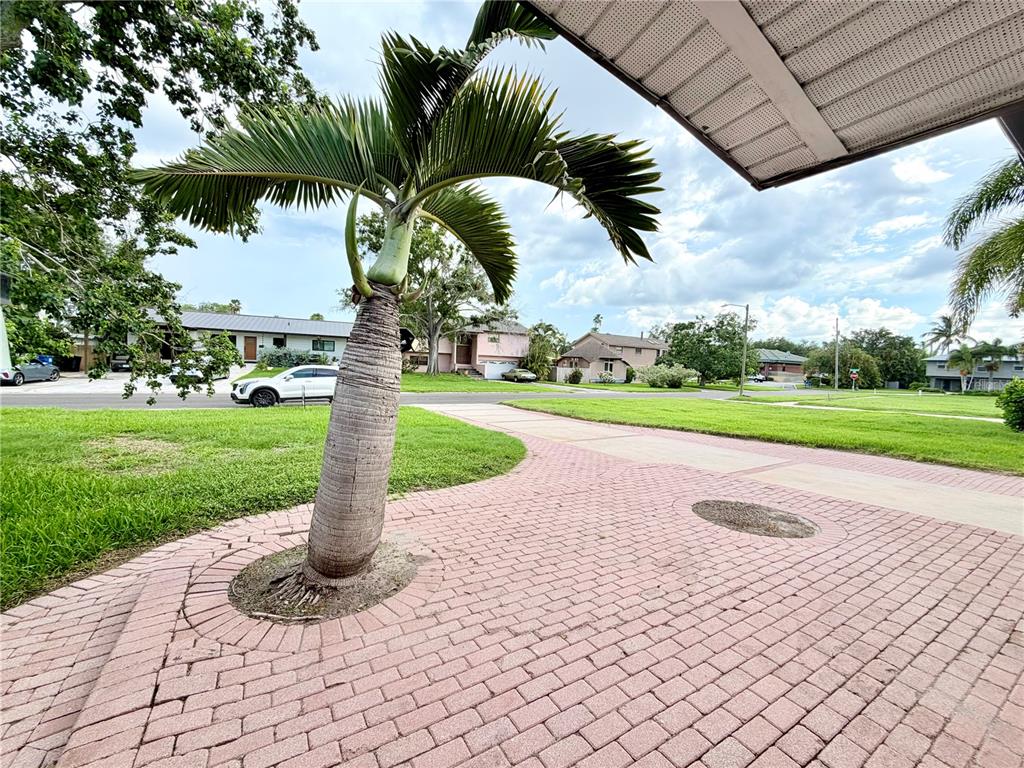 A paved driveway leads to a palm tree in front of a residential neighborhood — 1827 OKLAHOMA AVENUE NE, ST PETERSBURG, FL