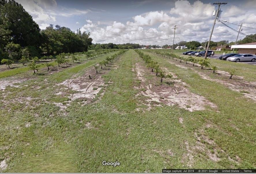 A view of a grassy field with rows of small trees and a parking lot — 310 MEDICAL CENTER AVENUE, SEBRING, FL