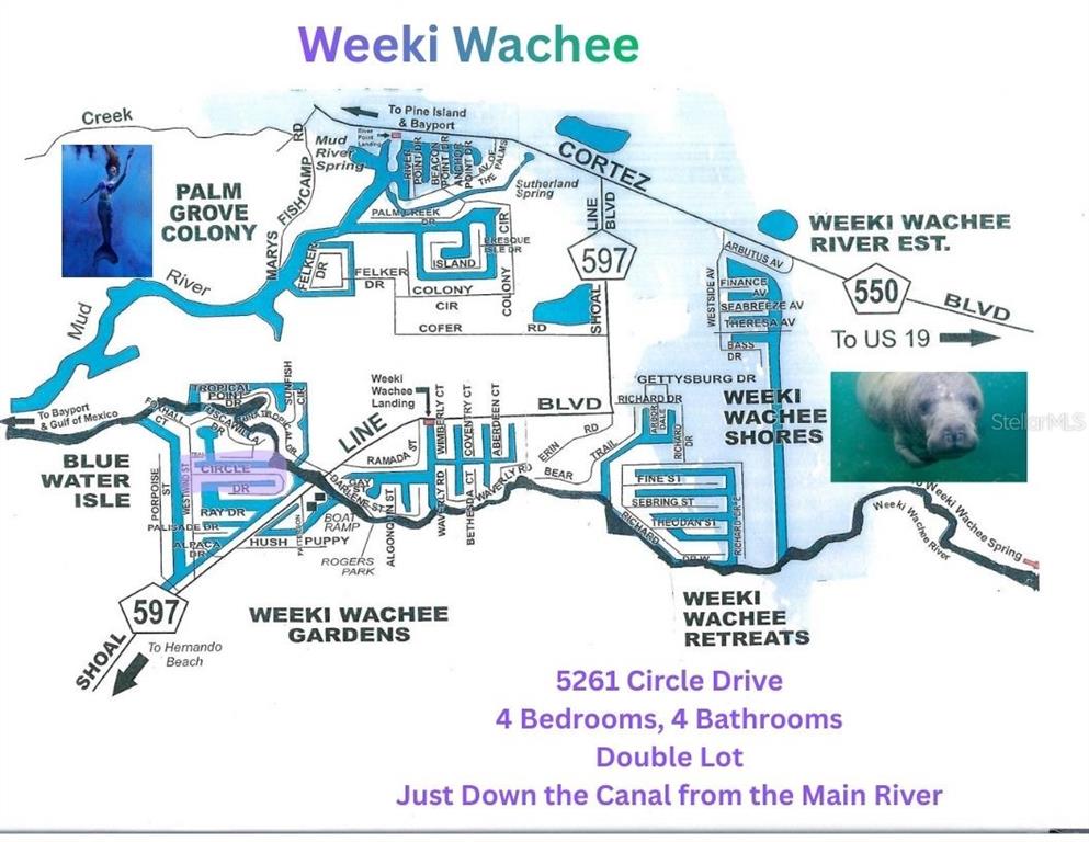 This aerial view shows a residential neighborhood with houses along a canal leading to a river — 5261 CIRCLE DRIVE, WEEKI WACHEE, FL