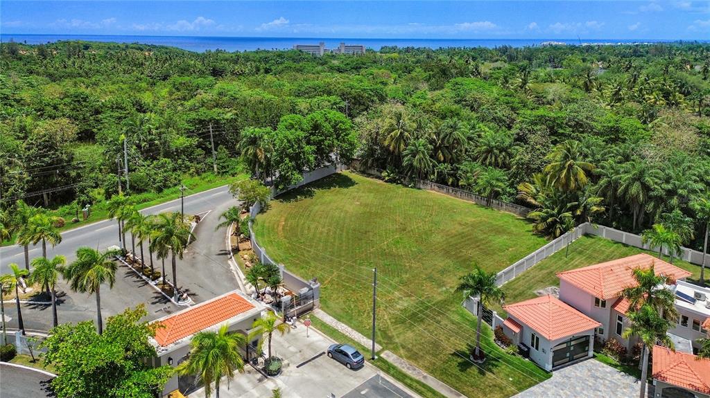 An aerial view shows a vacant grassy lot bordered by palm trees and a gated entrance — A-1 PASEO MADRID, VEGA ALTA, PR