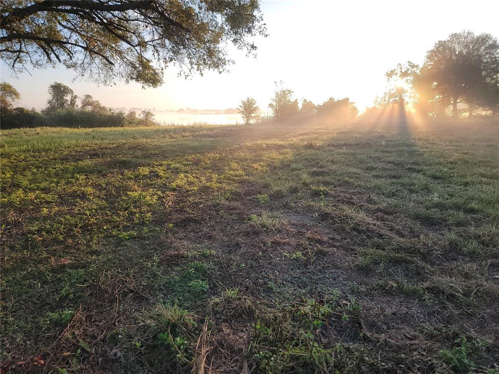 A grassy field at sunrise with trees and a distant body of water — 960 ALBRITTON WAY, LAKE WALES, FL