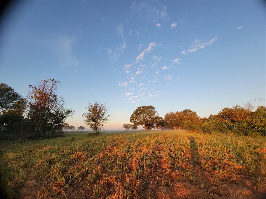 A grassy field with scattered trees under a clear blue sky at sunrise — 960 ALBRITTON WAY, LAKE WALES, FL